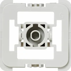 Adapter Gira 55