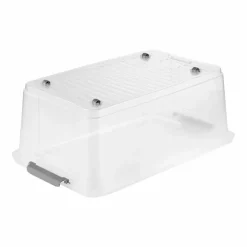 Box Leo