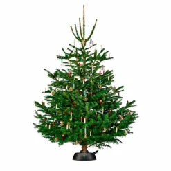 Christbaumständer »Green Line«, für max. Baumhöhe 250 cm, max. Stamm-Ø 11 cm