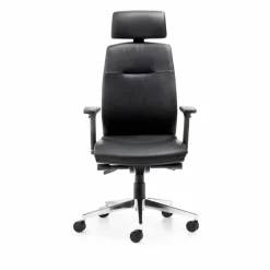 Drehstuhl 2480