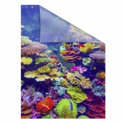Fensterfolie, Polyvinylchlorid (PVC), Format: 100 x 100 cm (B x L) cm