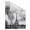Fensterfolie, Polyvinylchlorid (PVC), Format: 50 x 100 cm (B x L) cm
