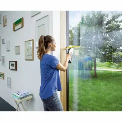 Fensterreiniger WV 6 Plus