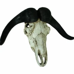 Geweih, Büffel, Polyresin