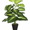 Kunstpflanze »Caladium«