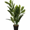 Kunstpflanze, Calathea, 1 Stück