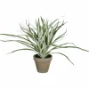 Kunstpflanze, Dracaena, grün/weiss
