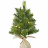 Kunstweihnachtsbaum »Solden«, Höhe: 60 cm, grün, beleuchtet