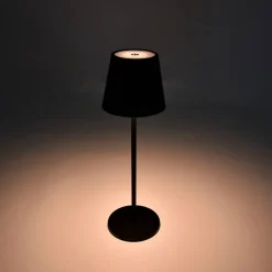LED-Akkuleuchte »Tjörn«, 3 w, 250 lm, schwarz, H: 36,5 cm, stufenlos dimmbar