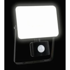 LED-Außenstrahler »ACUN 3.0«, 30 W, 6500 K, 3000 lm, schwarz, mit Bewegungsmelder