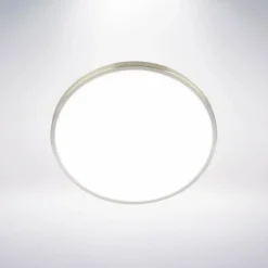 Leuchte