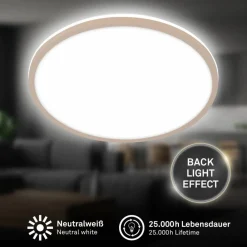 Leuchte
