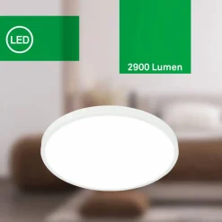 Leuchte