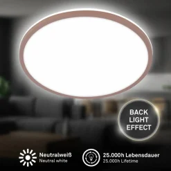 Leuchte