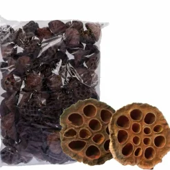 Lotuskolben