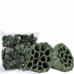 Lotuskolben