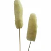 Luffa-Kopf am Stiel