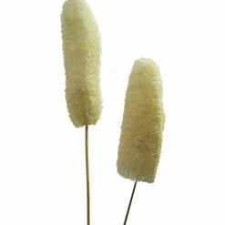 Luffa-Kopf am Stiel