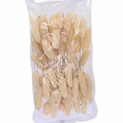 Luffa-Kopf am Stiel