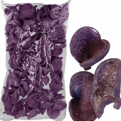 Nussschale