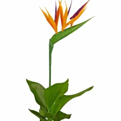 Paradiesvogelblume, Strelitzia reginae »Kunstblüte«, Blütenfarbe: orange