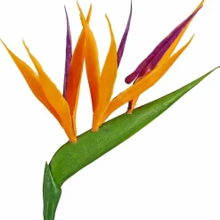 Paradiesvogelblume, Strelitzia reginae »Kunstblüte«, Blütenfarbe: orange