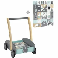 Schiebewagen, bunt, ab 12 Monate