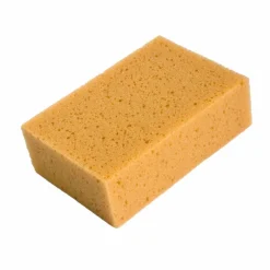 Schwamm