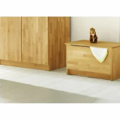 Stauraum-Truhe, BxHxL: 80 x 48 x 55 cm, buchenfarben