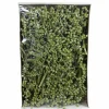 Trockenblumen