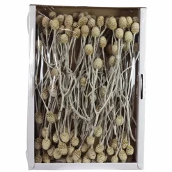 Trockenblumen