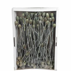 Trockenblumen
