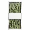 Trockenblumen