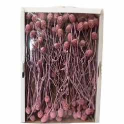 Trockenblumen