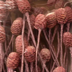 Trockenblumen