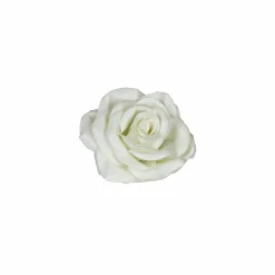 Wachsrose 12er-Set