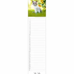 Wandkalender, BxH: 48 x 11 cm, Blattanzahl: 13