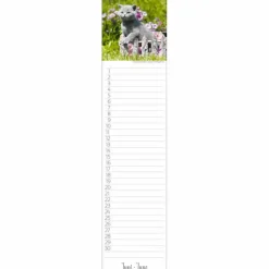 Wandkalender, BxH: 48 x 11 cm, Blattanzahl: 13