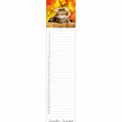 Wandkalender, BxH: 48 x 11 cm, Blattanzahl: 13