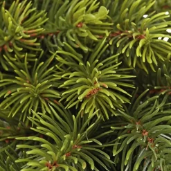 Weihnachtskranz »Schwarzwald«, Ø 35 cm, grün, Kunststoff